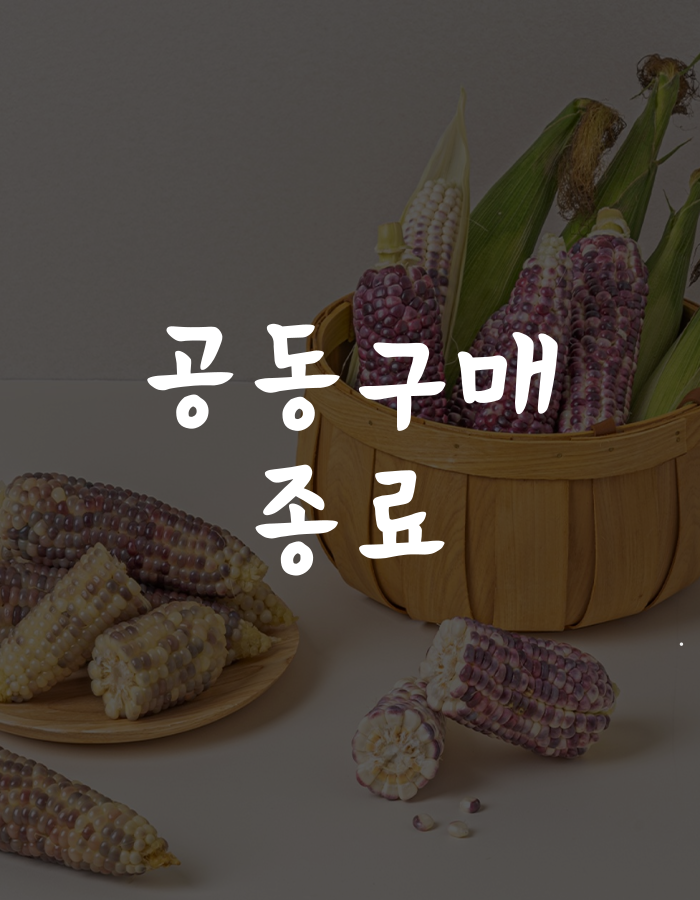기획전 이미지